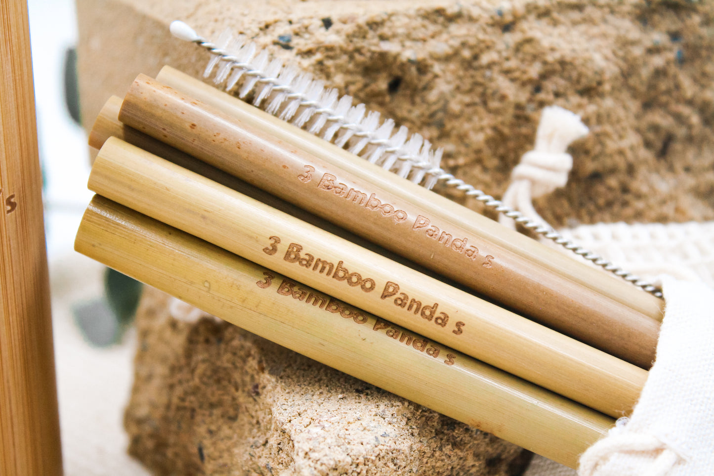 Bamboo Straws (8pack) with Brush and Bag